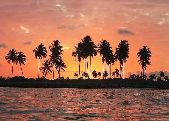 Porto De Galinhas Beach Maracaipe